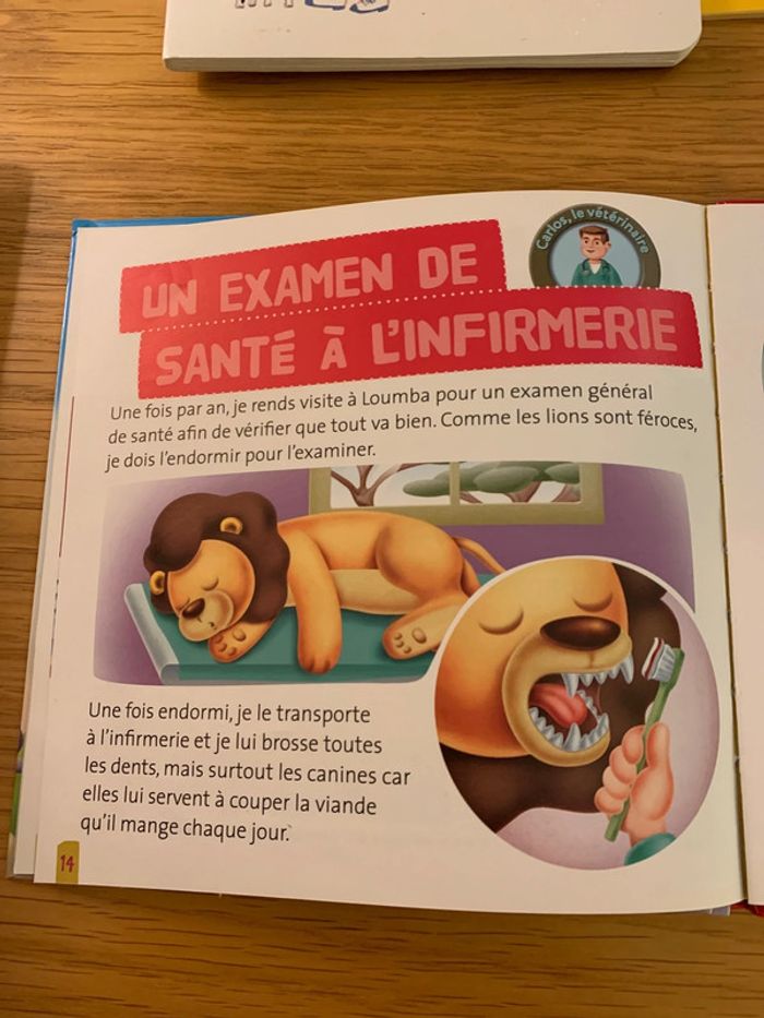 Livre Loumba le lion - photo numéro 3