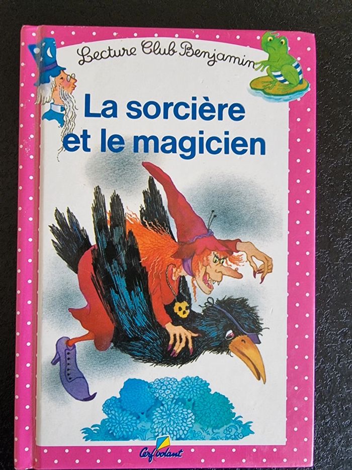 Livre enfant la Sorcière et le magicien