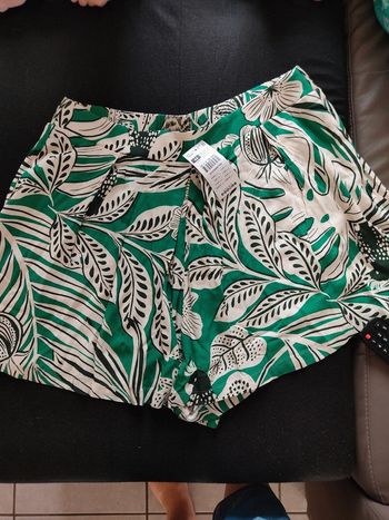 Short fluide