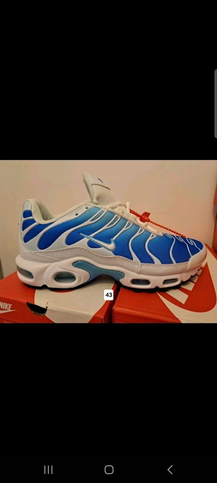Basket tn