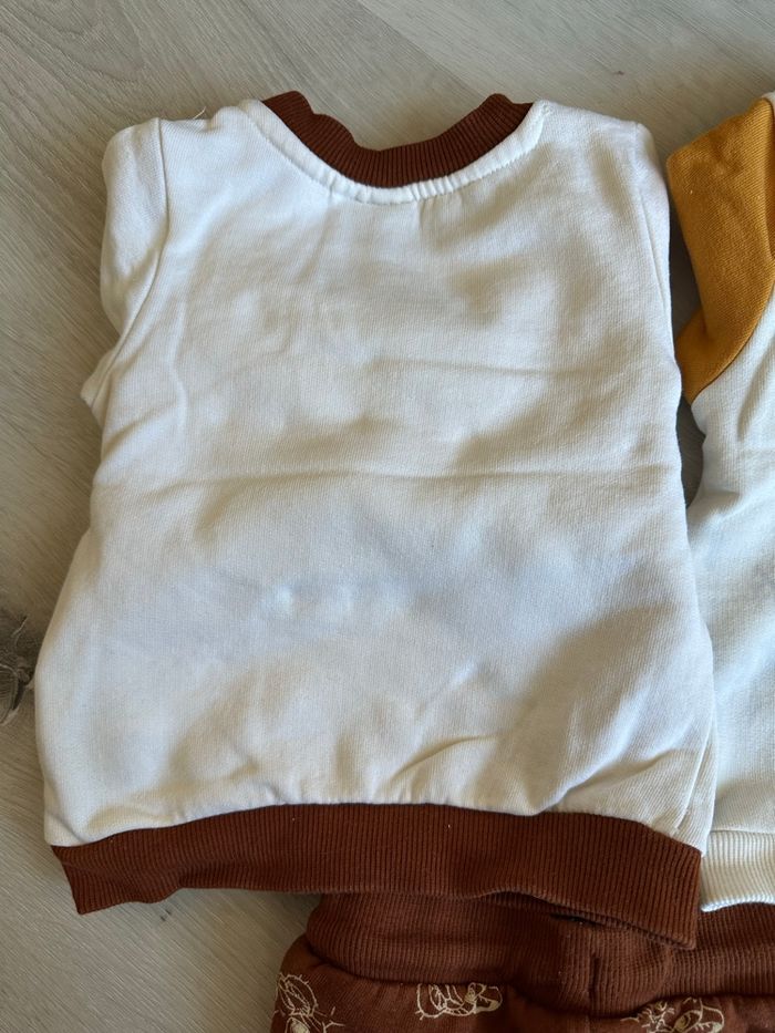 2 pulls + un jogging le roi lion bébé. - photo numéro 5