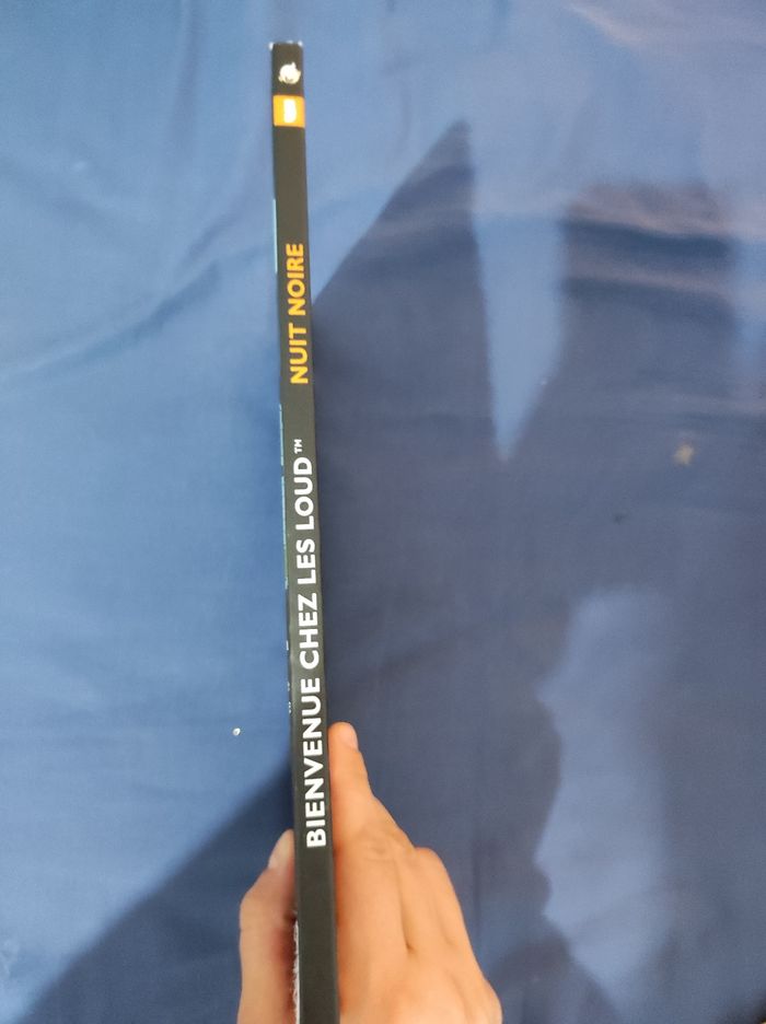 Bienvenue chez les loud - photo numéro 3