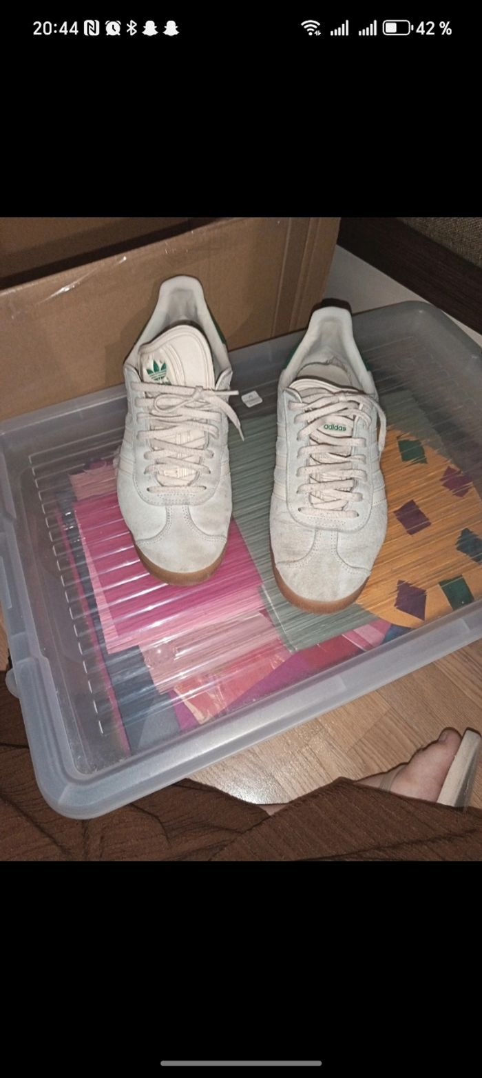 Gazelle - photo numéro 3