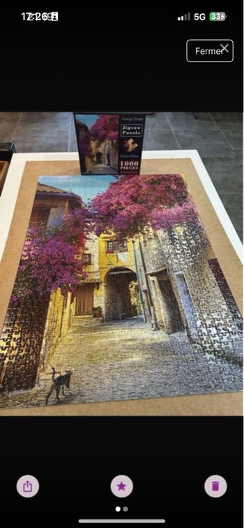 Puzzle 1000 pièces