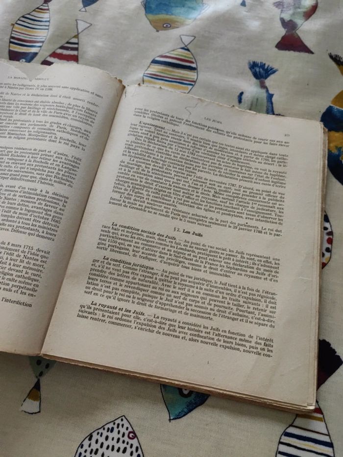 manuel d'histoire du droit français - photo numéro 3