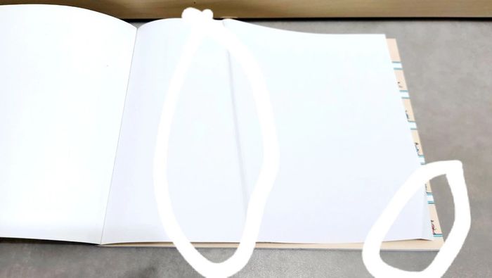 🌺 Livre (école des loisirs) : Pétronille - photo numéro 10