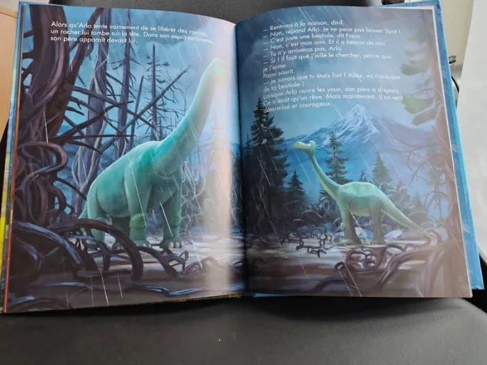 Livre Le voyage d' arlo Disney Pixar hachette collection grand format 3+ - photo numéro 4