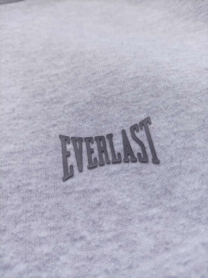 Sweats à capuche Pull Everlast gris taille S - photo numéro 7