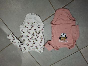 Lot body  minnie