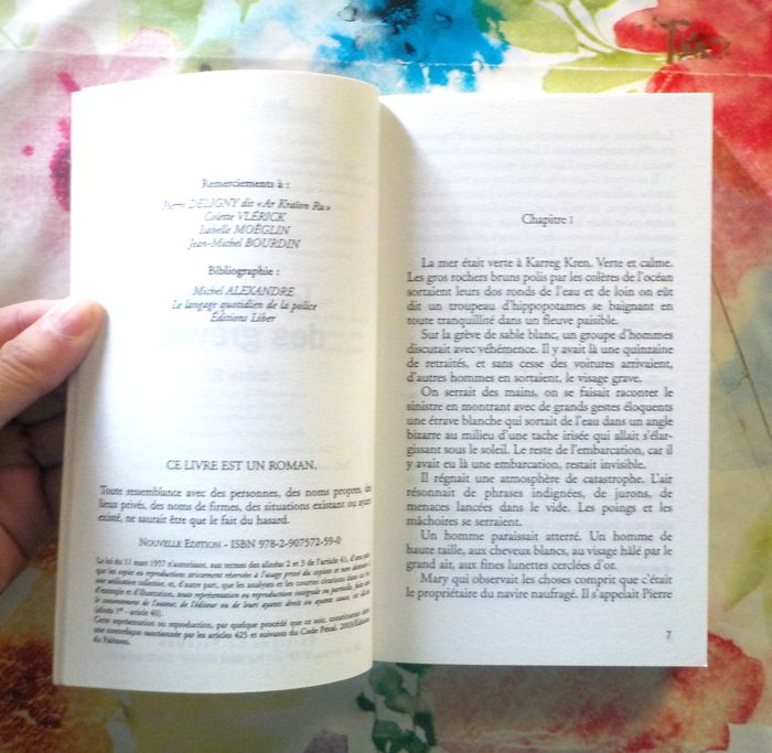 UNE ENQUETE DE MARY LESTER N°23 LE RENARD DES GREVES T2 de Jean FAILLER - photo numéro 6