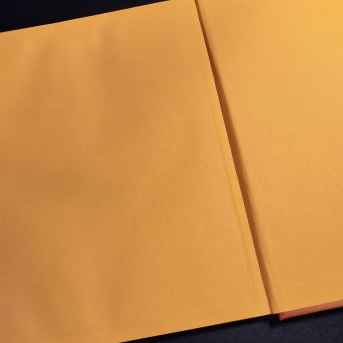 Livre Disney félins - photo numéro 3