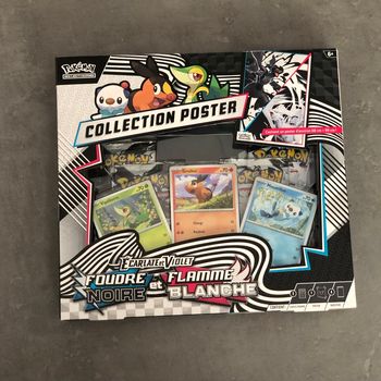 Coffret poster Ev10.5 Fr-pokemon