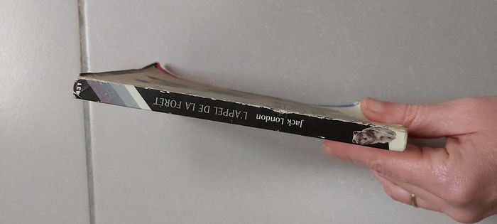 L'appel de la forêt - photo numéro 2