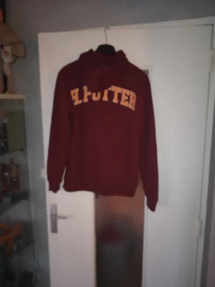 Pull Harry Potter Gryffindor team - photo numéro 5
