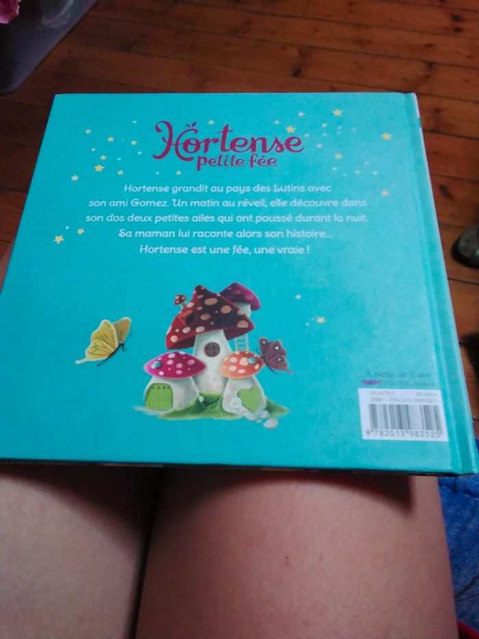 Hortense petite fée au pays des lutins - photo numéro 4