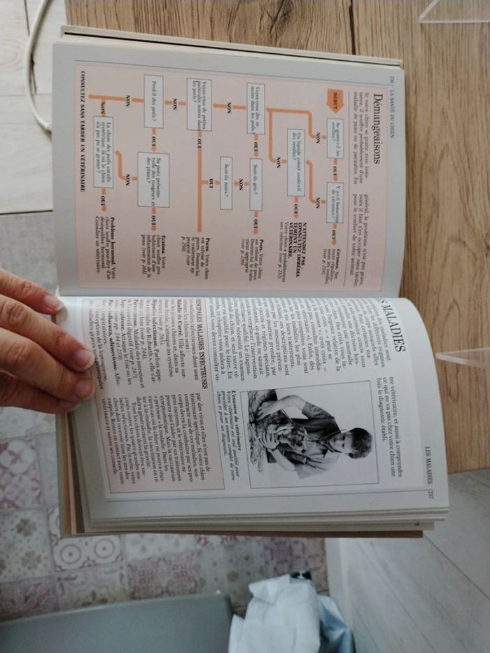 Livre soin des chiens - photo numéro 3