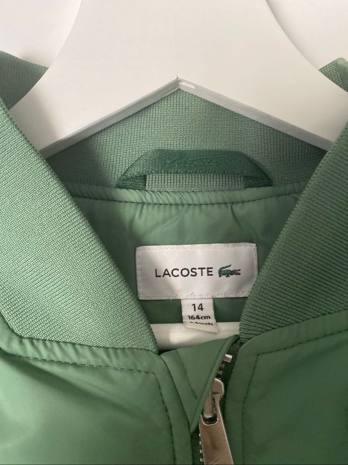 Bombers Lacoste enfant - photo numéro 4