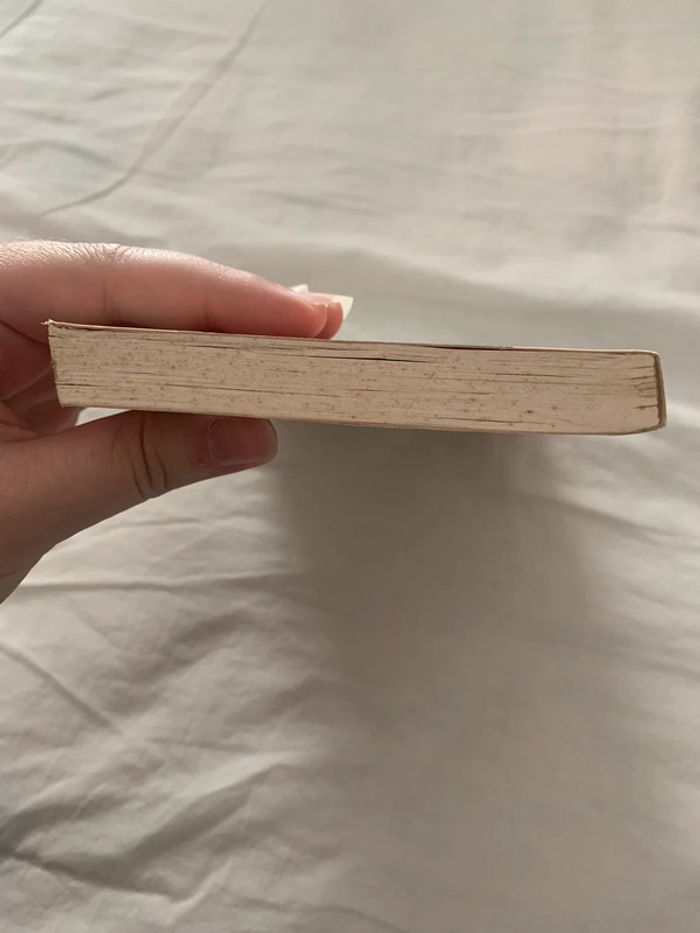 Le secret du caniche Marie-Jeanne Barbier - photo numéro 3