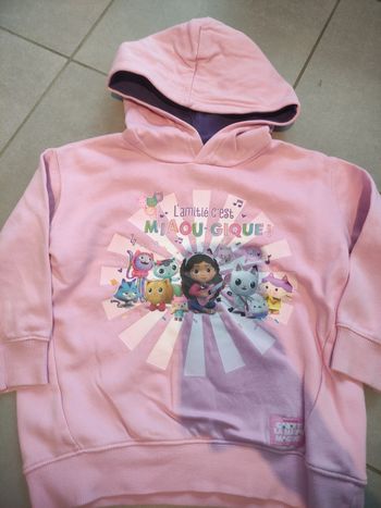 Très beau pull fille gabby chat en très bon état taille 4 ans