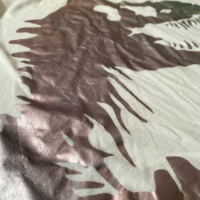 Jurassic - photo numéro 3