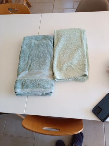 Serviette de toilette, de bain x 2