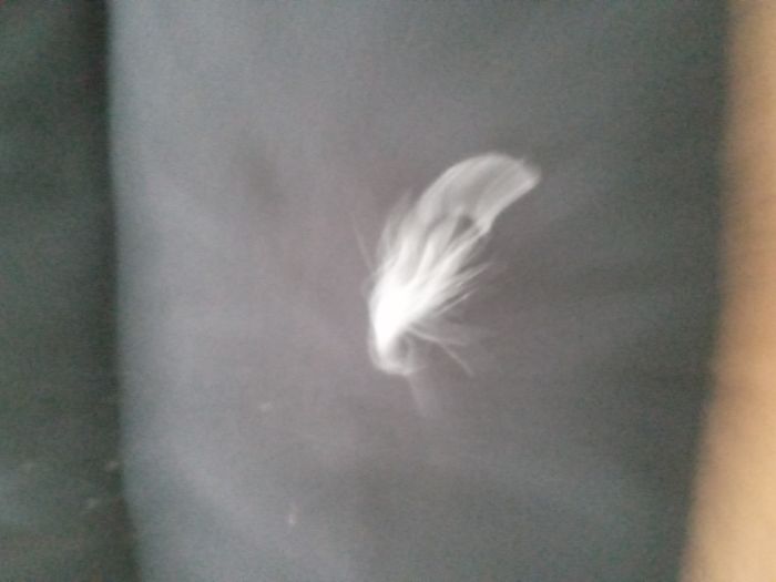 Doudoune noire Kiabi 34/36 - photo numéro 6