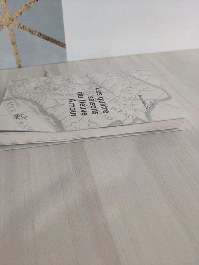Livre grand format les quatre saisons du fleuve amour Jean d'Albis - photo numéro 5