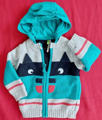 Gilet à capuche