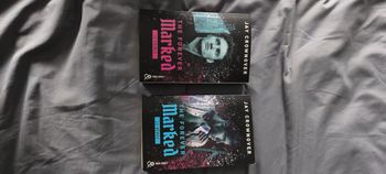 Livre Marked Le prince et le héros  jay crownover