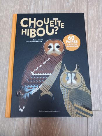 Chouette ou hibou ?