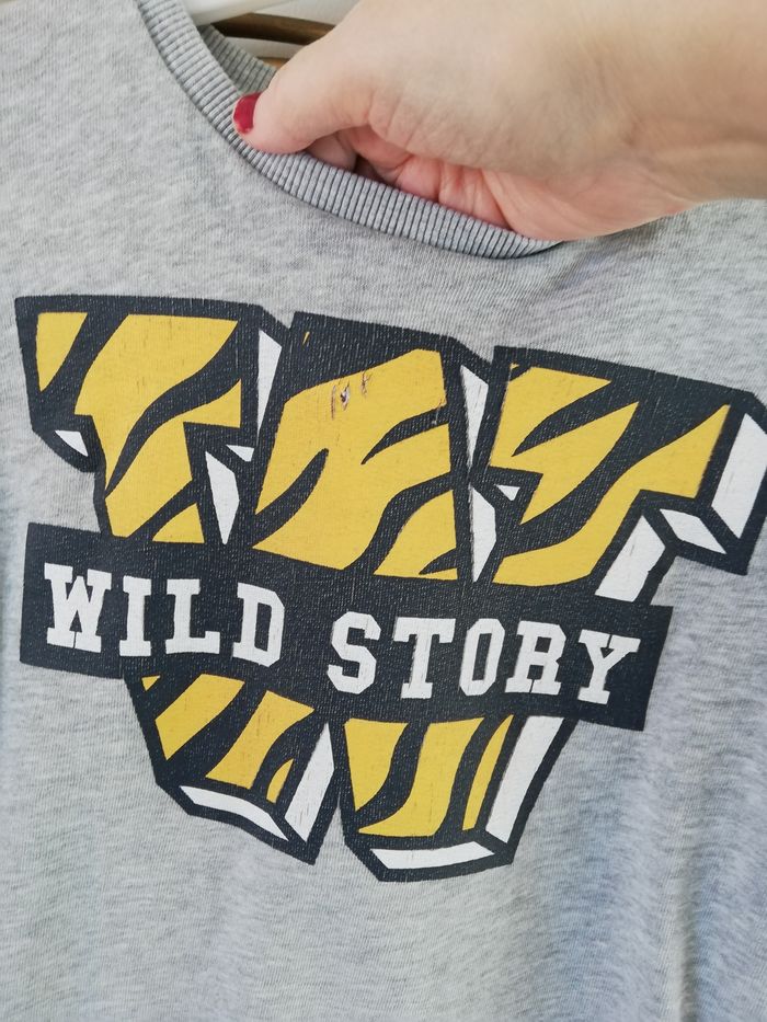 Sweat léger Gemo T10 ans - photo numéro 4