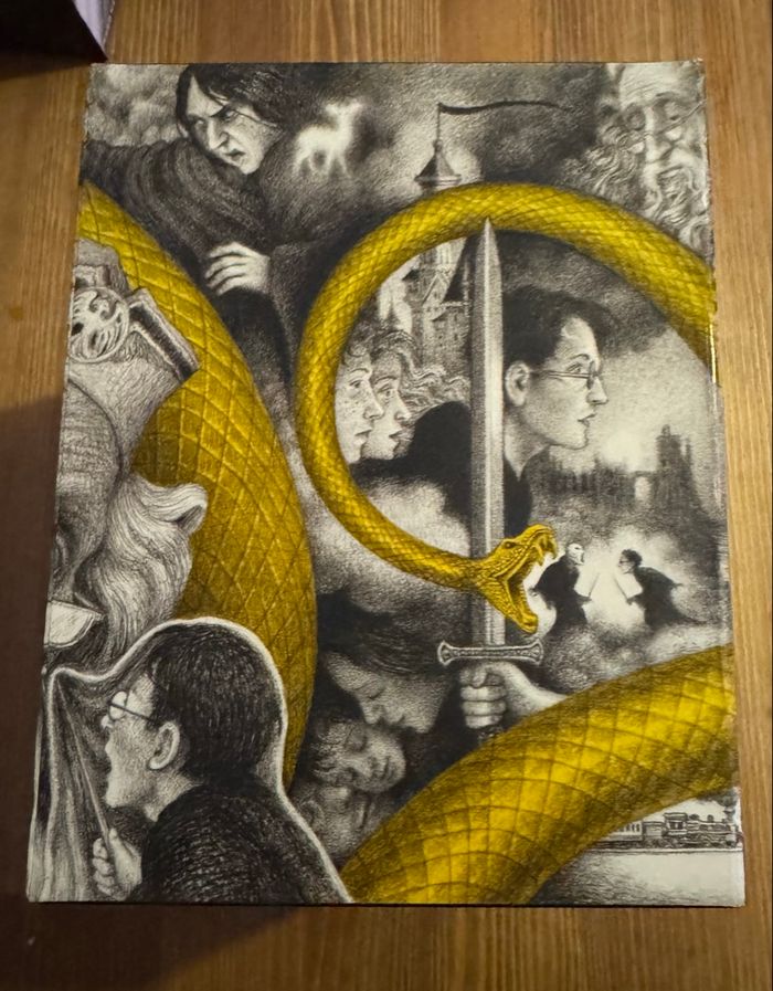 Coffret édition limitée Harry Potter - photo numéro 4