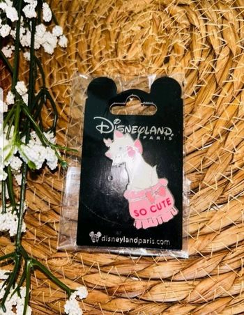 Pin's disney 