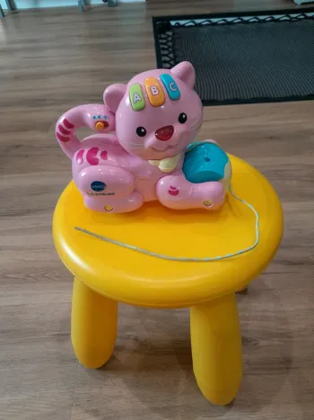 Chaton que l'on promène