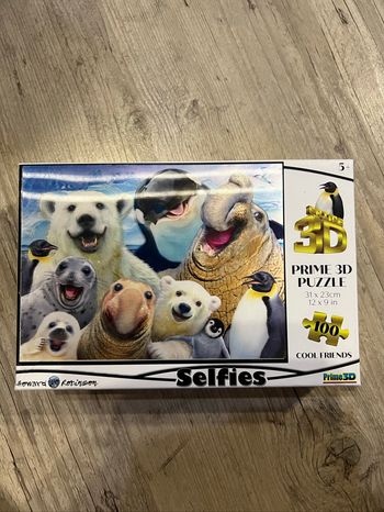 Puzzle  3D