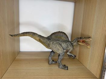 Spinosaurus papo