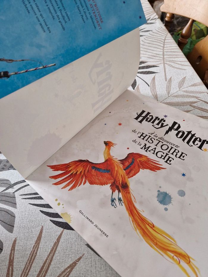 Livre harry potter a la découverte de l'histoire de la magie - photo numéro 3