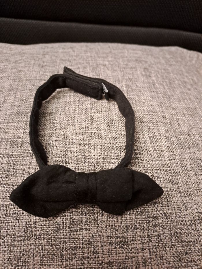 Nœud papillon 12M - photo numéro 2