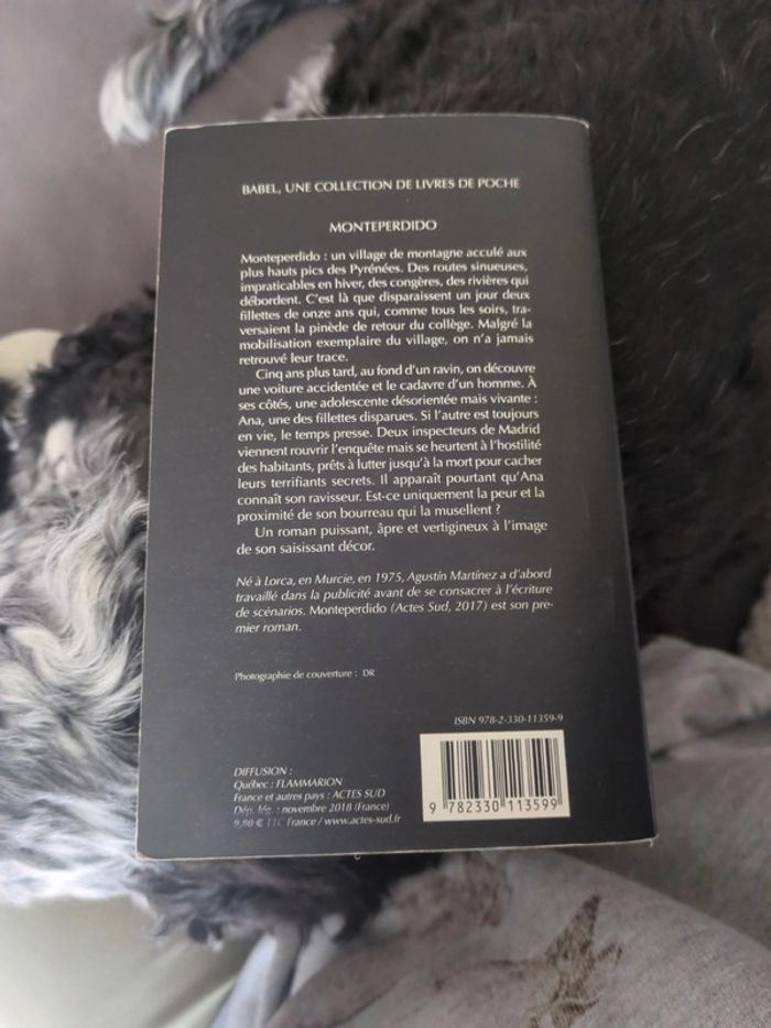 Monteperdido de Martinez - photo numéro 2