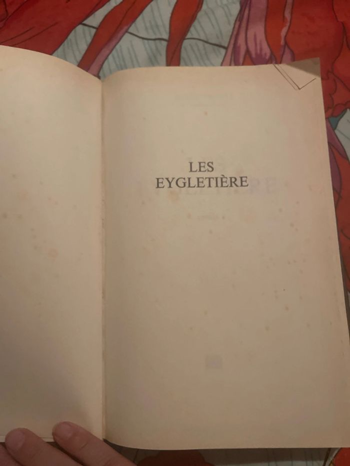 Livre - photo numéro 4