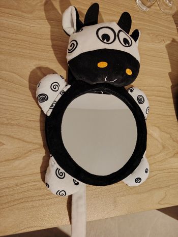 Miroir de voiture