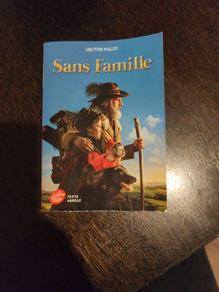 Sans famille