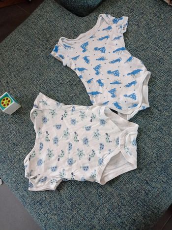 Deux bodies 12-18 mois