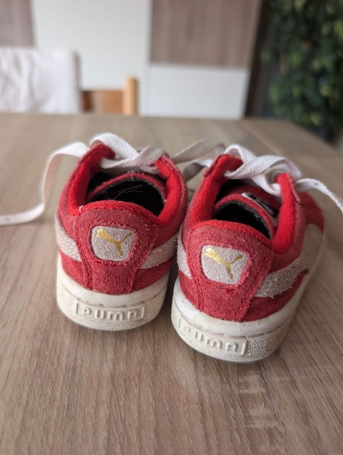 Puma bébé 21 - photo numéro 5