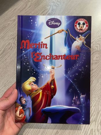 Livre Merlin l’enchanteur