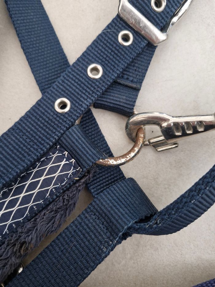 Licol cheval + longe fonganza
Bleu - photo numéro 4
