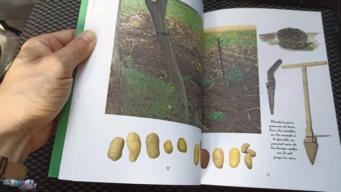 livre cahier de nature francis ambrois - photo numéro 3