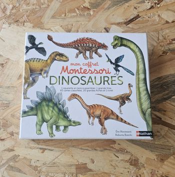 Mon coffret Montessori Dinosaures