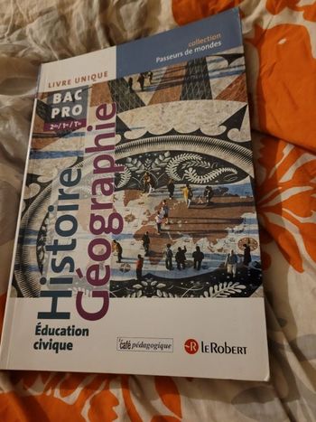 Histoire géographie Bac Pro 2nde  1ere terminale