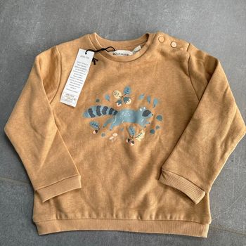Pull bouchara